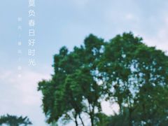 -东莞植物园