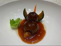 -丁老爷子苏香圆