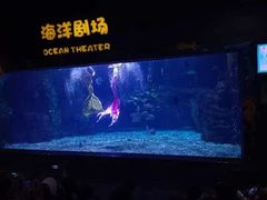 -郑州海洋馆
