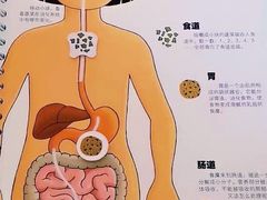 -悠贝亲子图书馆(崇文门店)