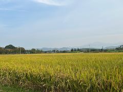-东梓关景区村庄