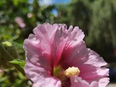-牛背梁国家森林公园