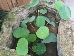 -聚福宝合苑食府(南头镇店)