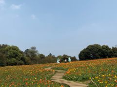 -保利石象湖景区