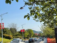 -云龙湖旅游景区