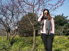 -上海植物园·停车场