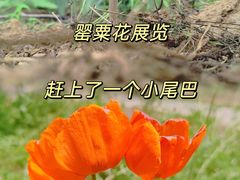 -国家植物园