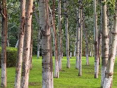 -汉长安城未央宫国家考古遗址公园