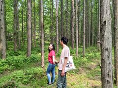 -黄海国家森林公园