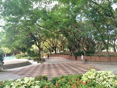 景点-屯门公园