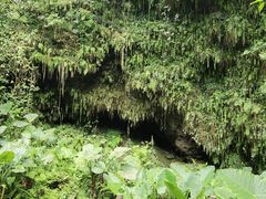 -海口火山口国家地质公园