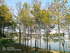 -美兰湖景区