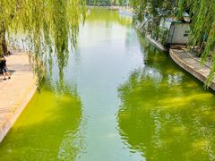 -团结湖公园