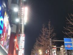 -秋叶原电器街