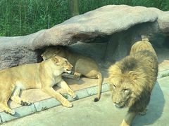 -北京野生动物园