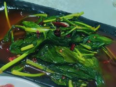 板蓝根-花楸树下(观水路店)