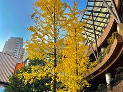 -瑞虹新天地月亮湾