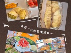 -珊瑚岛