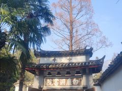 -白鹿洞书院