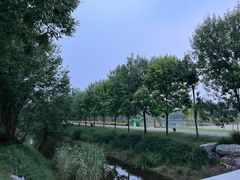 -东郊湿地公园
