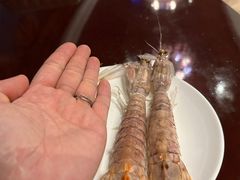 -荣誉国际酒店-云顶旋转餐厅