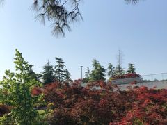 -铁山坪森林公园