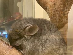 -龙猫仔乐园(惠福东路店)