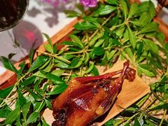 -蝶舍·MAISON PAPILLON