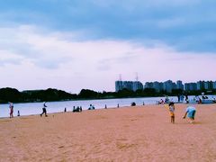 -金沙湖公园