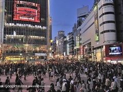 -涩谷区