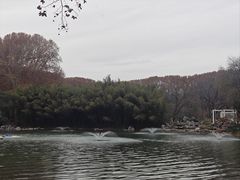 -河南省黄河迎宾馆