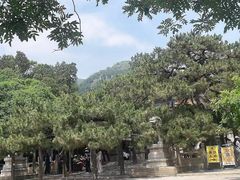 -潭柘寺景区