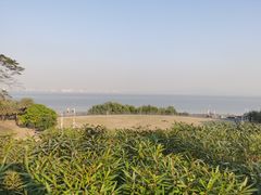 -深圳湾公园(南山区)