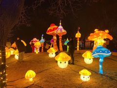 -大明幻境第一城