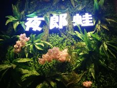 -夜郎蛙(汉街店)