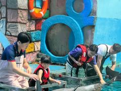 -蓬莱欧乐堡海洋极地世界