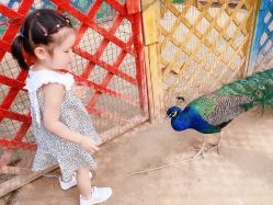 -萌宠亲子动物乐园(槐房万达店)