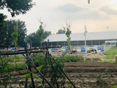 -大汗行宫园林餐厅