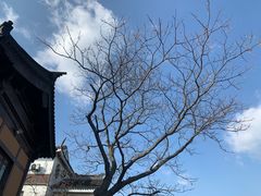 -锦溪古镇