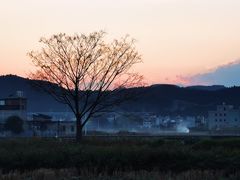 -林寨古村