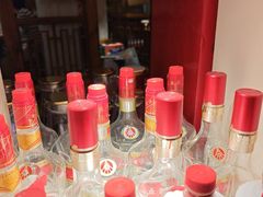 -鸽舞笙平金牌烧鸽子·融合菜(鲁谷店)