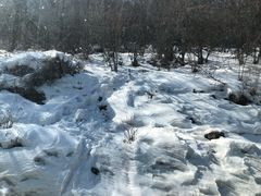 -太子岭滑雪场