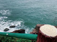 -广东惠东海龟国家级自然保护区