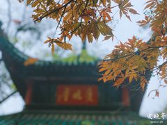 -岳麓山风景名胜区