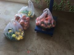 -庞各庄翠芳园西瓜蔬菜基地采摘园