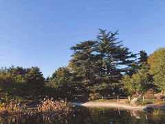 -国家植物园南园