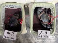 -龙海鲜螃蟹王(宏茂桥店)