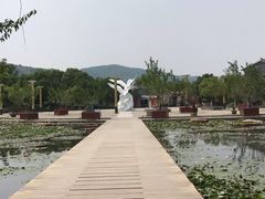 -白马涧龙池景区