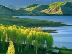 -大九湖