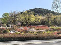 -云龙湖旅游景区